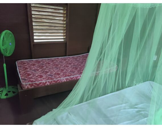 Amazone Guyana okt 2025