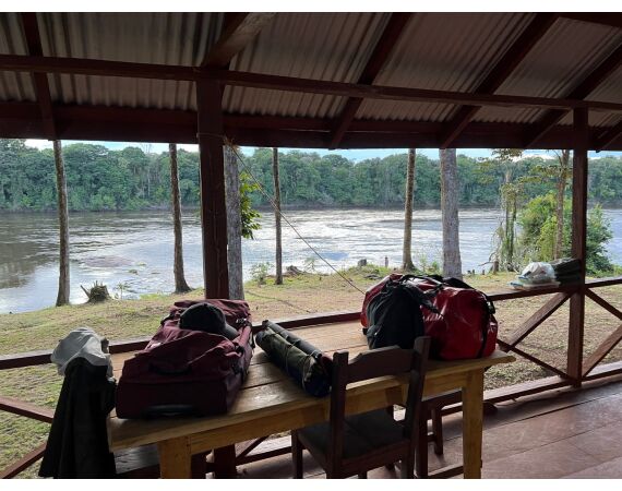 Amazone Guyana okt 2025