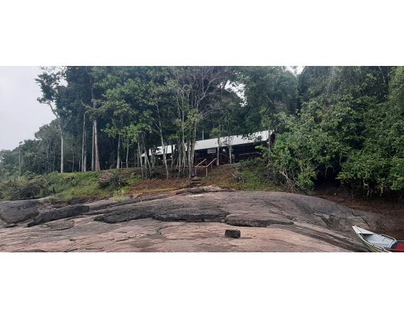 Amazone Guyana okt 2025