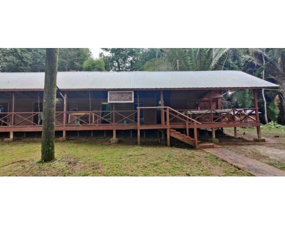 Amazone Guyana okt 2025