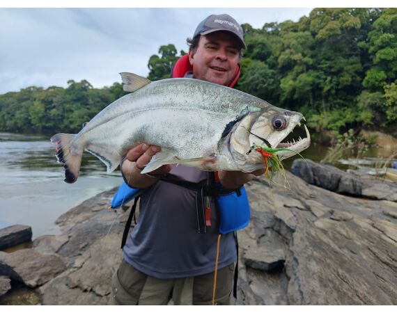 Amazone Guyana okt 2025