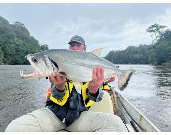 Amazone Guyana okt 2025