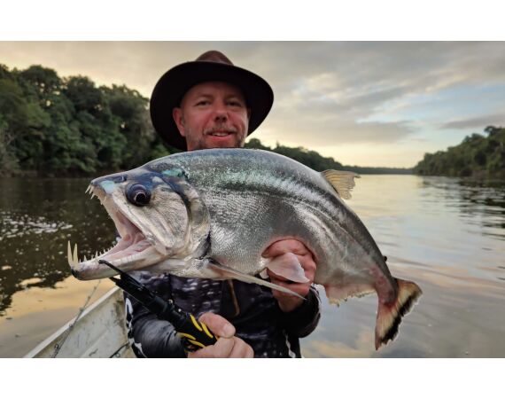 Amazone Guyana okt 2025