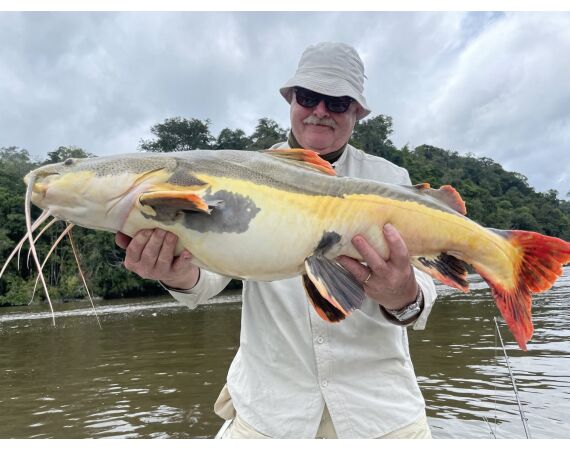 Amazone Guyana okt 2025