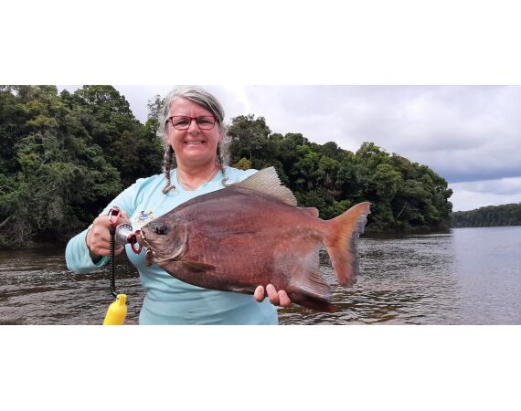 Amazone Guyana okt 2025