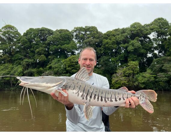 Amazone Guyana okt 2025