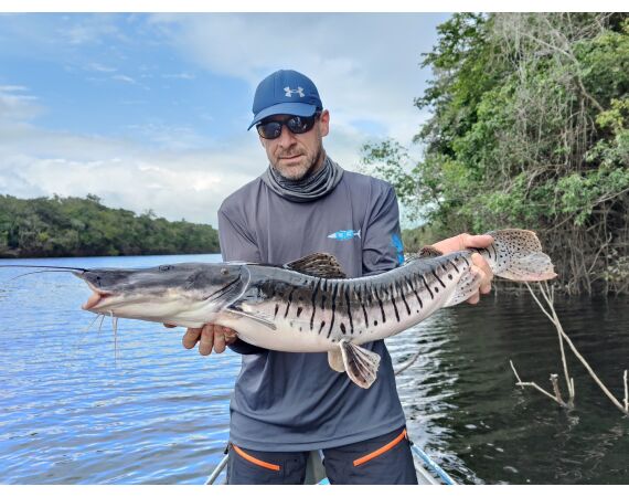 Amazone Guyana okt 2025