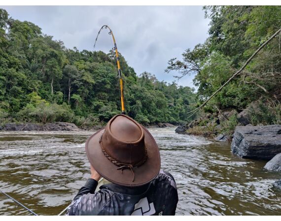 Amazone Guyana okt 2025