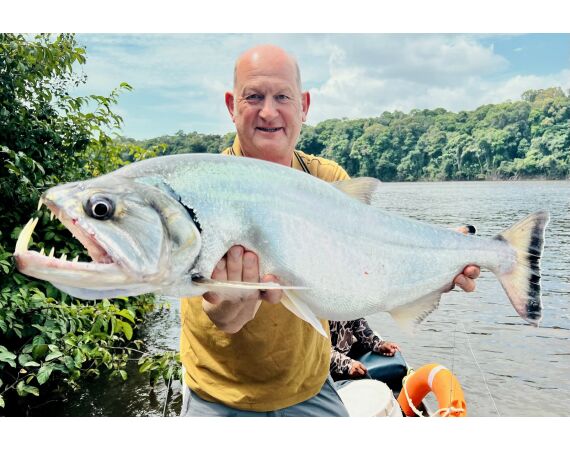 Amazone Guyana okt 2025