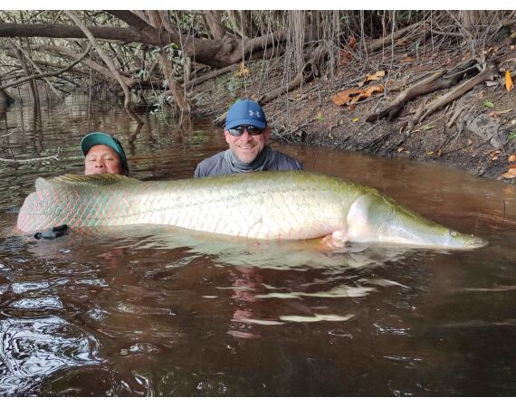 Amazone Guyana okt 2025