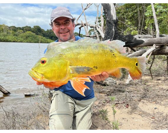 Amazone Guyana okt 2025