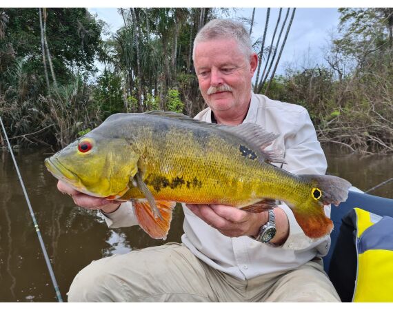 Amazone Guyana okt 2025