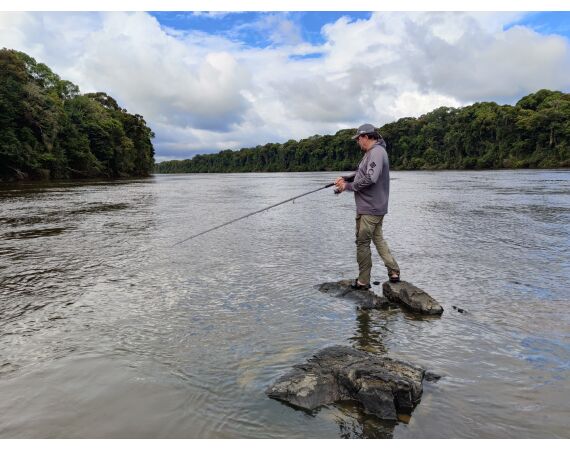 Amazone Guyana okt 2025