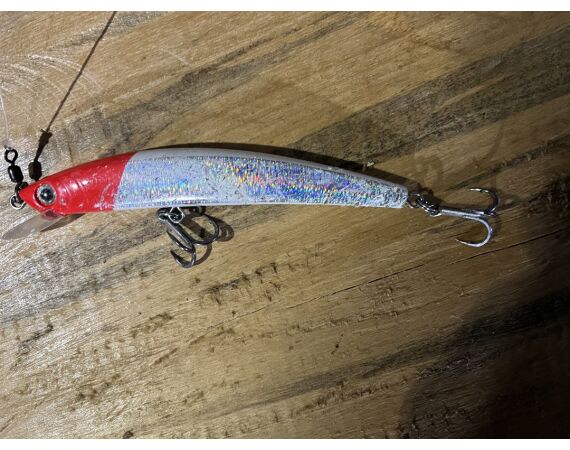 Amazone Guyana okt 2025