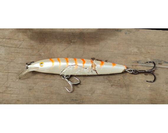 Amazone Guyana okt 2025