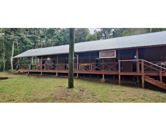 Amazone Guyana okt 2026