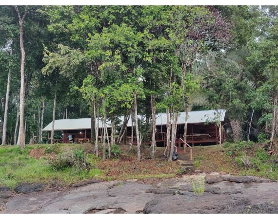 Amazone Guyana okt 2026