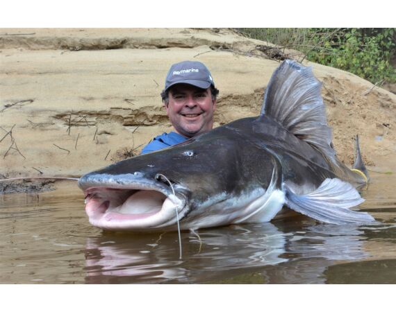 Amazone Guyana okt 2026