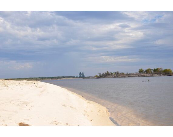 Argentinie, Golden Dorado okt 2025