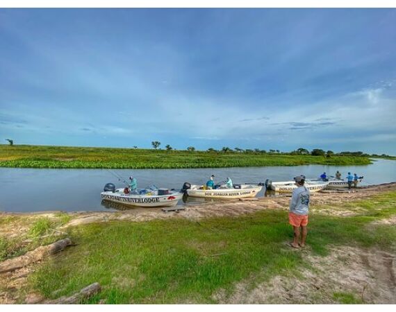 Argentinie, Golden Dorado okt 2025
