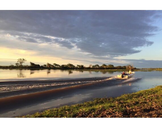 Argentinie, Golden Dorado okt 2025