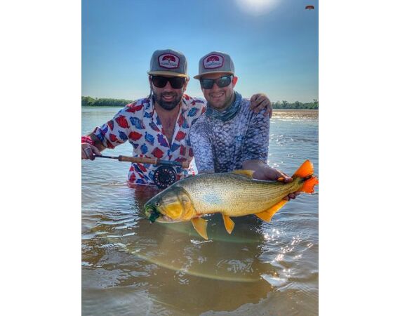 Argentinie, Golden Dorado okt 2025