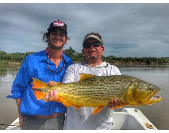 Argentinie, Golden Dorado okt 2025