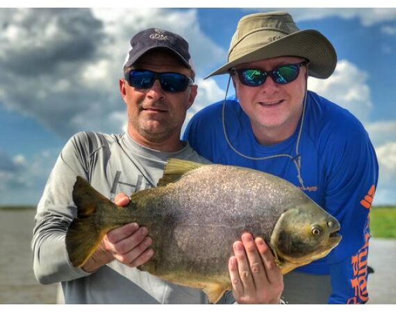 Argentinie, Golden Dorado okt 2025