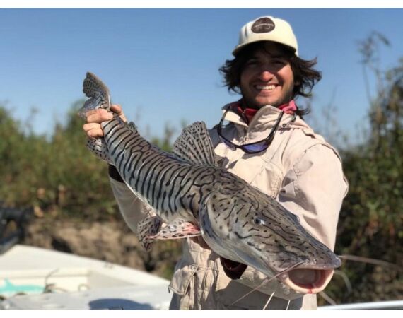 Argentinie, Golden Dorado okt 2025