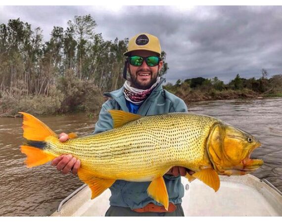 Argentinie, Golden Dorado okt 2025