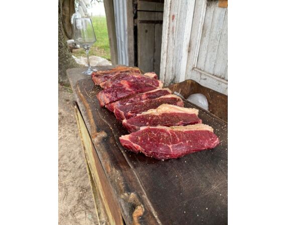 Argentinie, Golden Dorado okt 2025