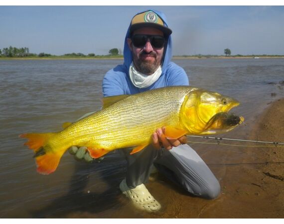 Argentinie, Golden Dorado okt 2025