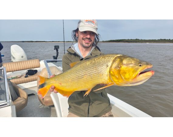Argentinie, Golden Dorado okt 2025
