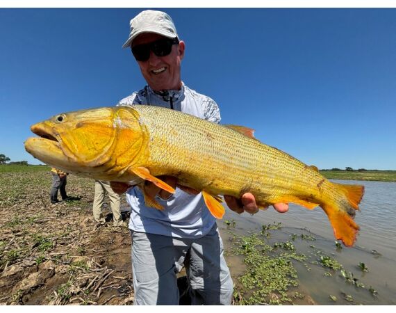 Argentinie, Golden Dorado okt 2025