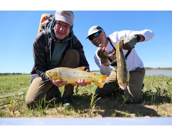 Argentinie, Golden Dorado okt 2025