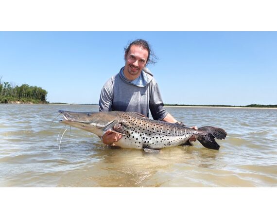 Argentinie, Golden Dorado okt 2025
