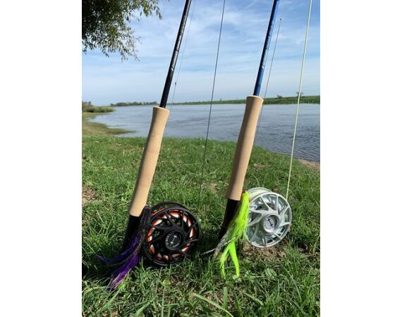 Argentinie, Golden Dorado okt 2026