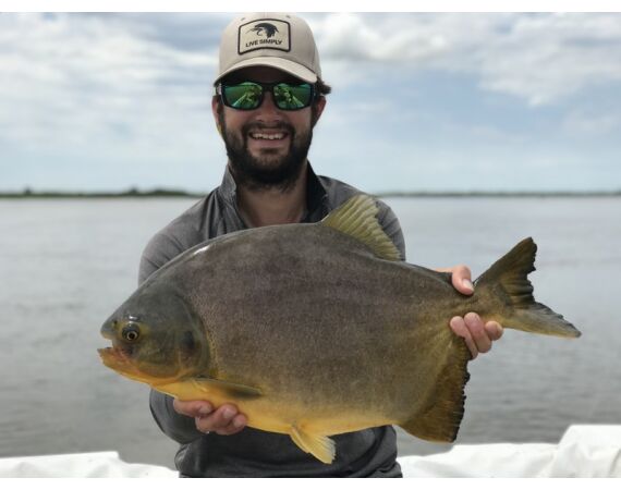 Argentinie, Golden Dorado okt 2026