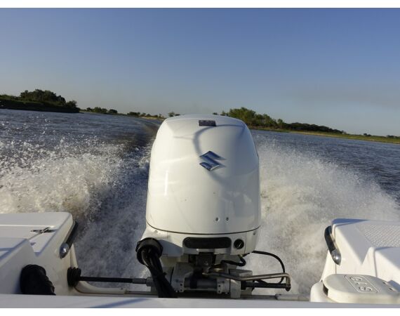 Argentinie, Golden Dorado okt 2026