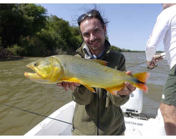 Argentinie, Golden Dorado okt 2026
