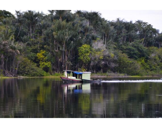 Peacock Bass Houseboat jan 26