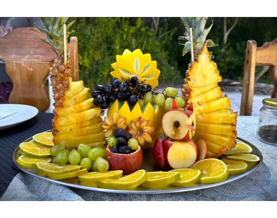 Peacock Bass Houseboat jan 26