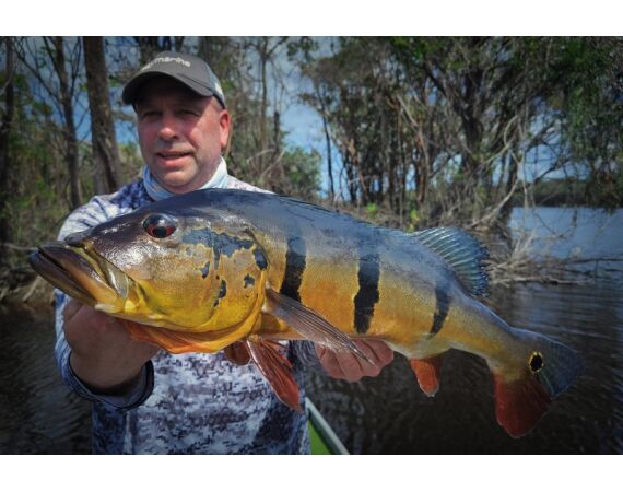 Peacock Bass Houseboat jan 26
