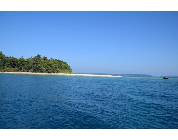 Pop & jig in Andaman feb 27