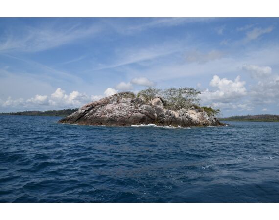 Pop & jig in Andaman feb 27