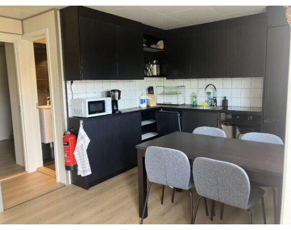 Nipro Noorwegen Festival mei 2026