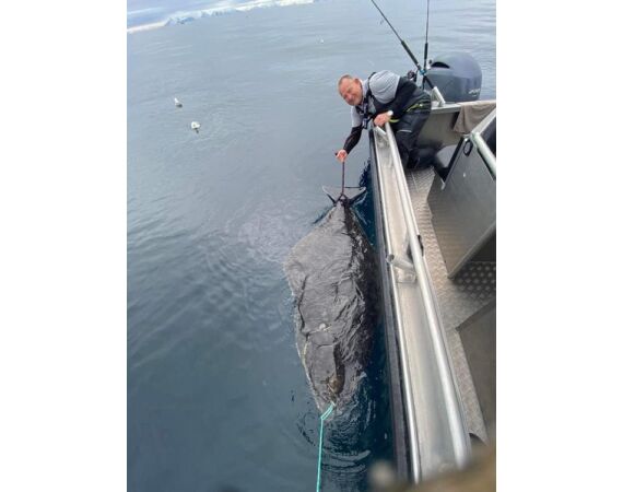 Nipro Noorwegen Festival mei 2026