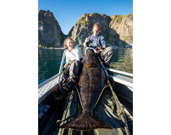 Nipro Noorwegen Festival mei 2026