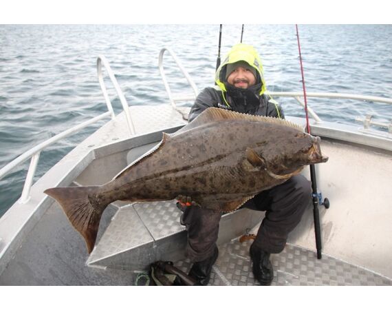 Nipro Noorwegen Festival mei 2026