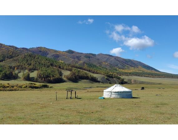 Mongolie Taimen